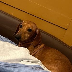 Meet your Posher, Christian